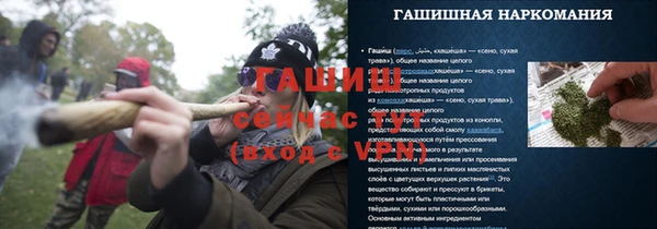 индика Богданович