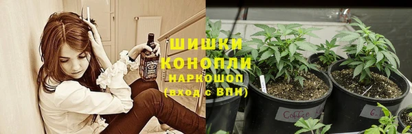 MESCALINE Богородицк