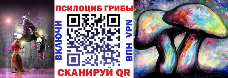Псилоцибиновые грибы Psilocybe  Велиж 
